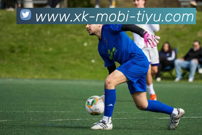 星空体育APP 高清赛事图